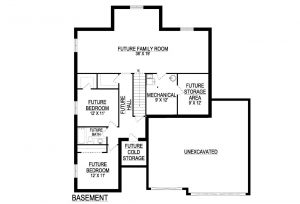 Tonya Basement