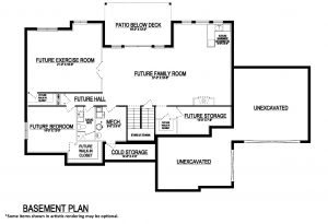 Deedra Basement 2d