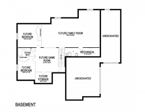 Karen House Plan Basement