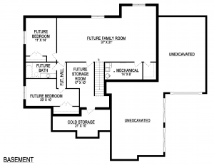 Summer Home Plan Basement