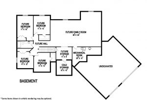 Andromeda Basement 2-d