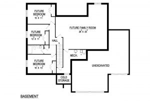 Misty Basement